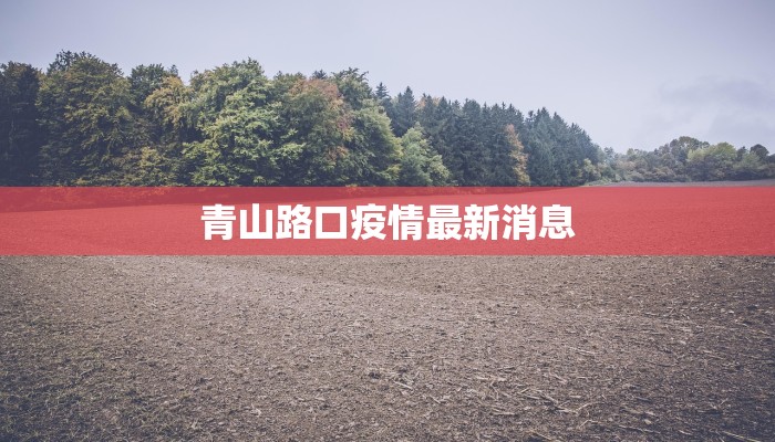 青山路口疫情最新消息