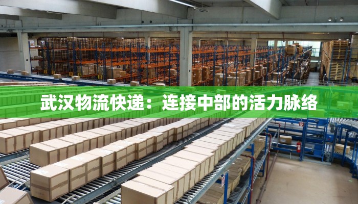 武汉物流快递:连接中部的活力脉络 武汉物流快递:连接中部的活力脉络