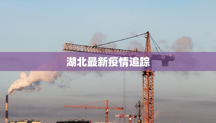 湖北最新疫情追踪 湖北最新疫情追踪