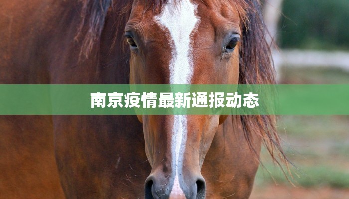 祖庙最新疫情:守护文化圣地,科学防控有妙招 祖庙最新疫情:守护文化圣地,科学防控有妙招