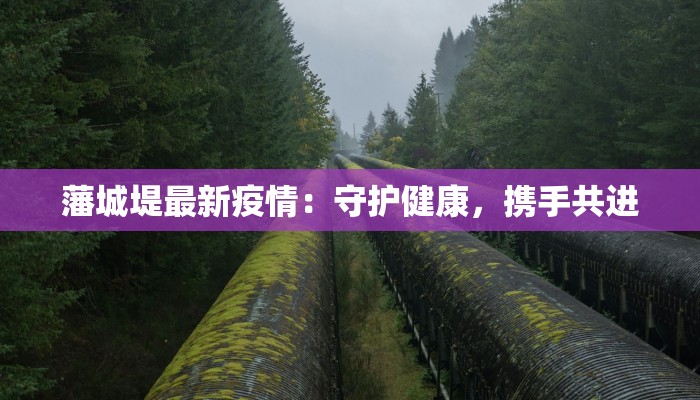 藩城堤最新疫情:守护健康,携手共进 藩城堤最新疫情:守护健康,携手共进