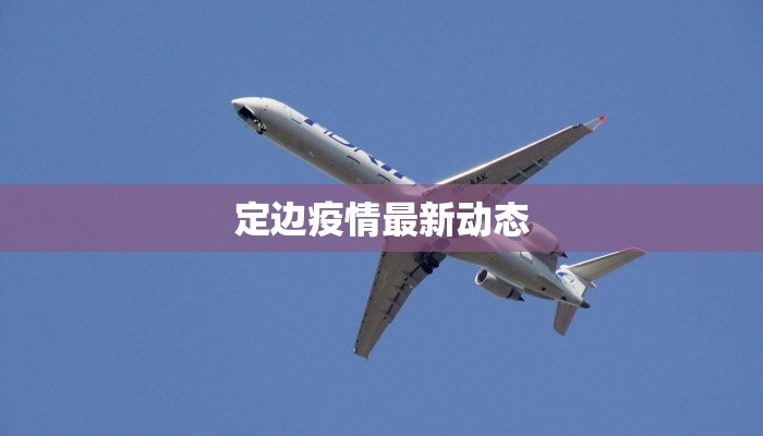 定边疫情最新动态 定边疫情最新动态