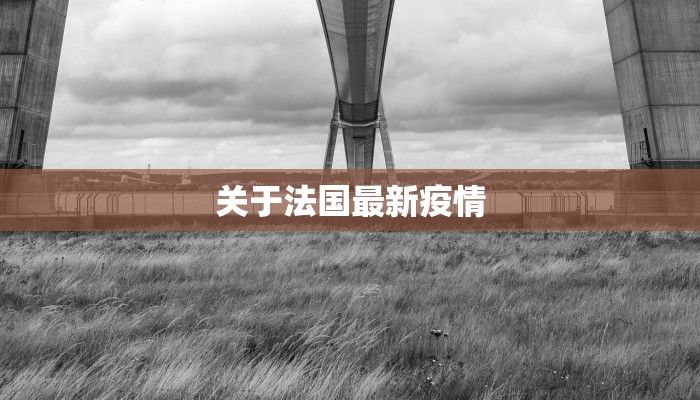 关于法国最新疫情