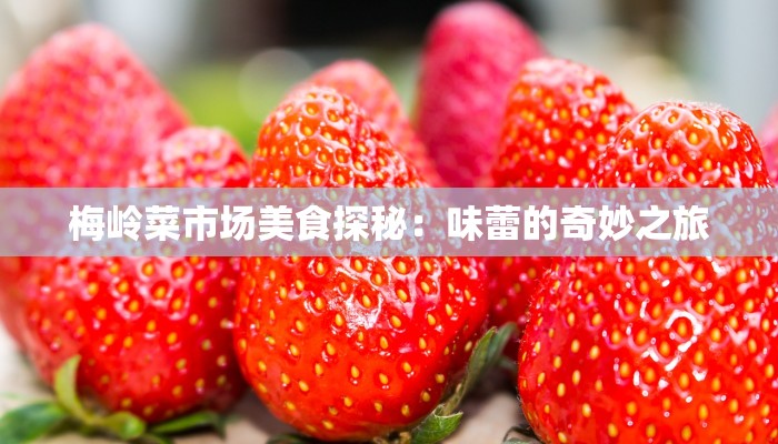 梅岭菜市场美食探秘:味蕾的奇妙之旅 梅岭菜市场美食探秘:味蕾的奇妙之旅