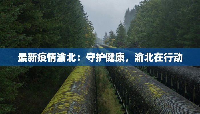 最新疫情渝北:守护健康,渝北在行动 最新疫情渝北:守护健康,渝北在行动