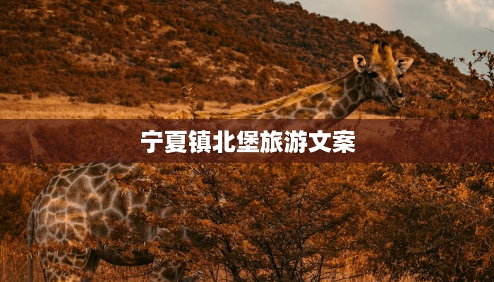 宁夏镇北堡旅游文案 宁夏镇北堡旅游文案