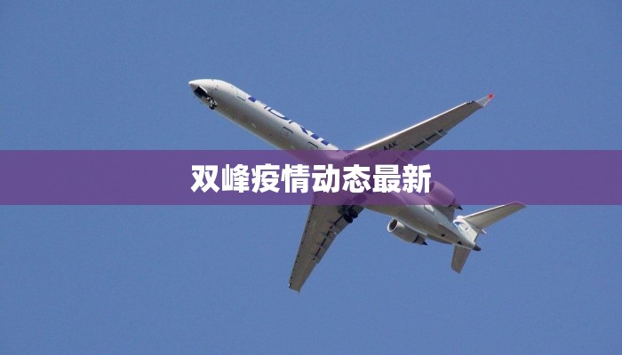 最新疫情襄阳双沟：守护家园，科学防控，共克时艰