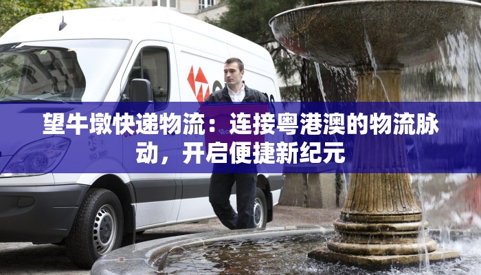 望牛墩快递物流：连接粤港澳的物流脉动，开启便捷新纪元