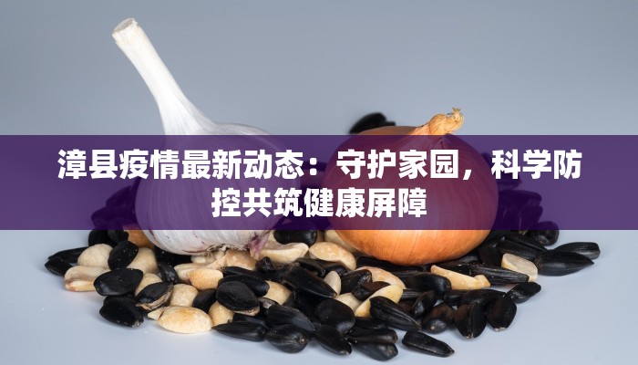 漳县疫情最新动态：守护家园，科学防控共筑健康屏障