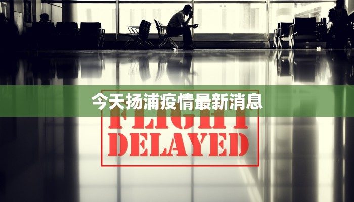 今天扬浦疫情最新消息 今天扬浦疫情最新消息