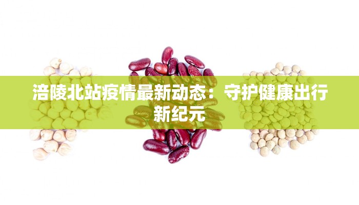 涪陵北站疫情最新动态：守护健康出行新纪元