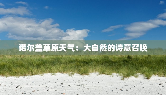 诺尔盖草原天气：大自然的诗意召唤