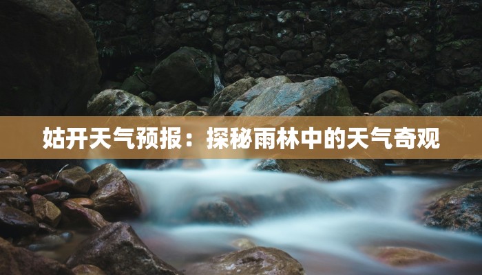 姑开天气预报：探秘雨林中的天气奇观