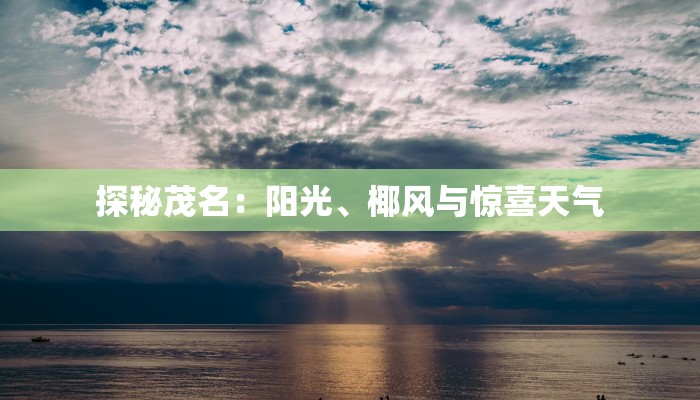 探秘茂名:阳光、椰风与惊喜天气 探秘茂名:阳光、椰风与惊喜天气