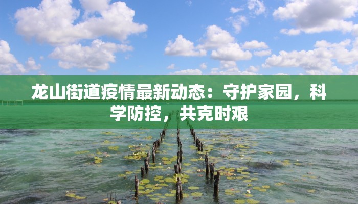 双河疫情轨迹最新：从警钟到曙光的全景解读