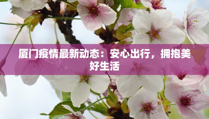 厦门疫情最新动态：安心出行，拥抱美好生活