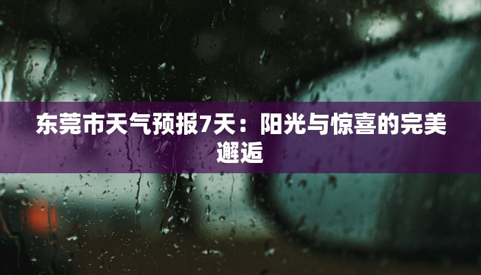 东莞市天气预报7天：阳光与惊喜的完美邂逅
