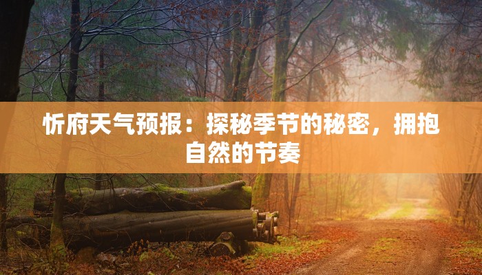 忻府天气预报：探秘季节的秘密，拥抱自然的节奏