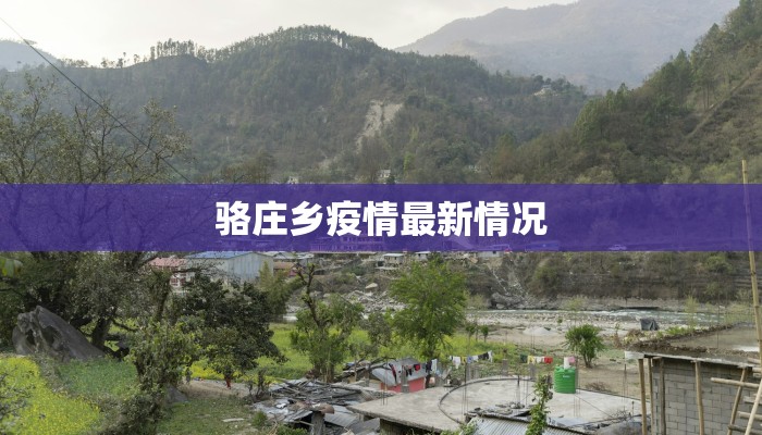 骆庄乡疫情最新情况