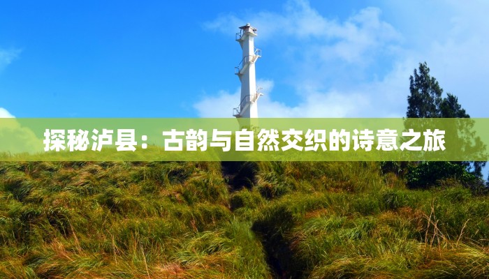 探秘泸县：古韵与自然交织的诗意之旅