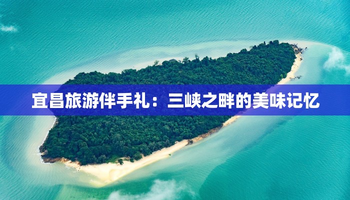 服装裁剪女裤裁剪