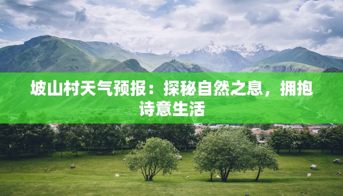 坡山村天气预报：探秘自然之息，拥抱诗意生活