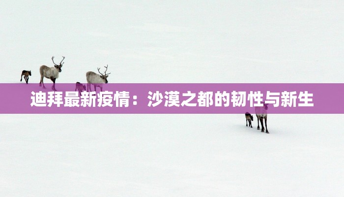 迪拜最新疫情：沙漠之都的韧性与新生