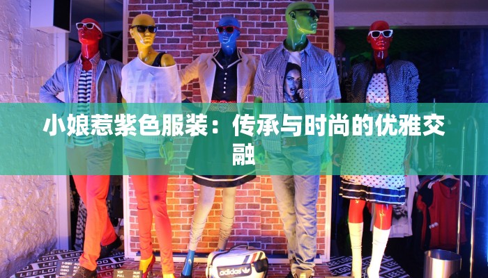 小娘惹紫色服装：传承与时尚的优雅交融