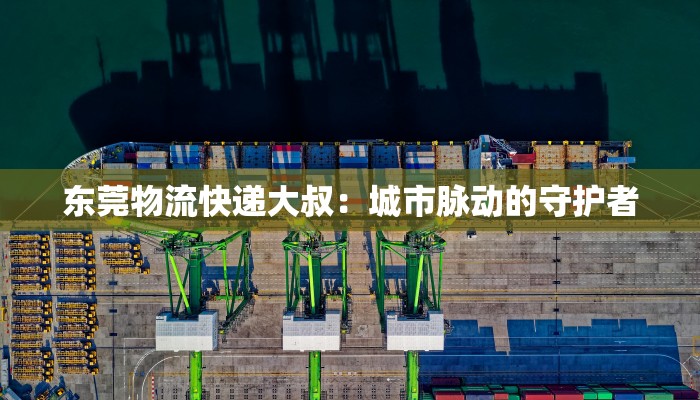 东莞物流快递大叔:城市脉动的守护者 东莞物流快递大叔:城市脉动的守护者