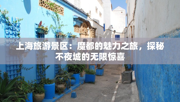 上海旅游景区：魔都的魅力之旅，探秘不夜城的无限惊喜