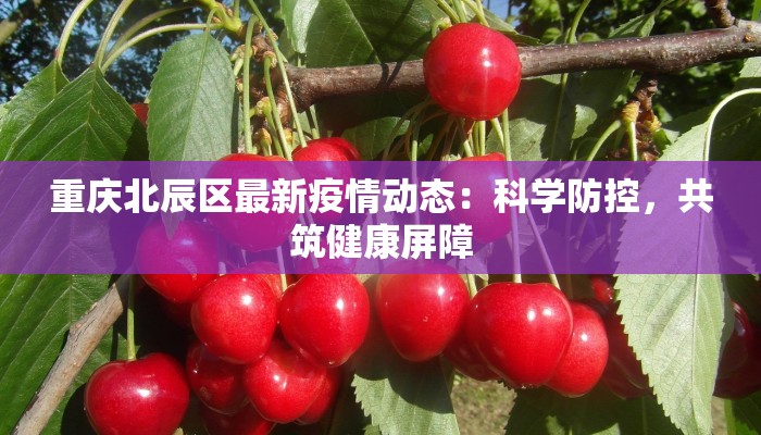 重庆北辰区最新疫情动态：科学防控，共筑健康屏障