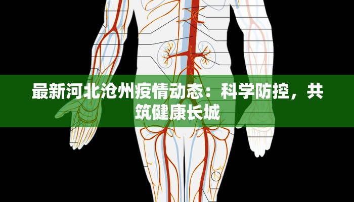 顺义石门疫情最新消息:守护家园,科学防控 顺义石门疫情最新消息:守护家园,科学防控