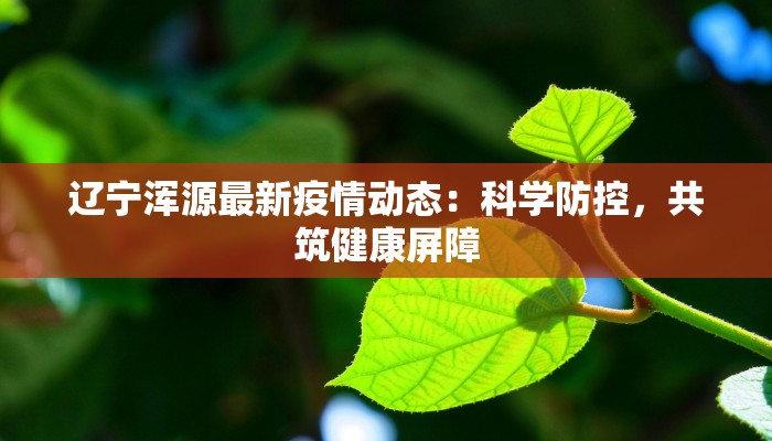 辽宁浑源最新疫情动态:科学防控,共筑健康屏障 辽宁浑源最新疫情动态:科学防控,共筑健康屏障