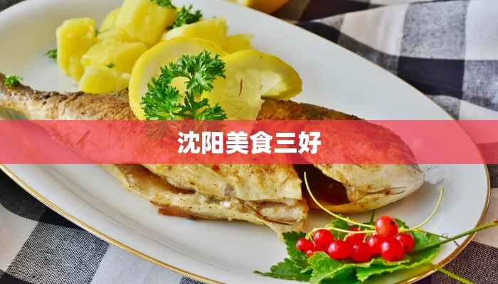 沈阳美食三好 沈阳美食三好