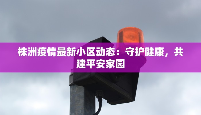 缙云县城美食:味蕾的奇妙之旅 缙云县城美食:味蕾的奇妙之旅