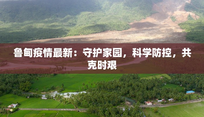 鲁甸疫情最新：守护家园，科学防控，共克时艰