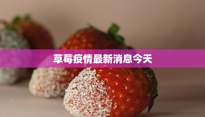 草莓疫情最新消息今天 草莓疫情最新消息今天