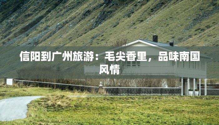 湖州最新疫情情况：守护健康，共克时艰