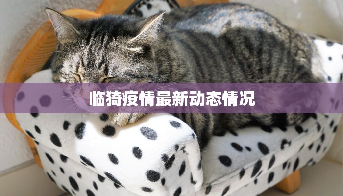 临猗疫情最新动态情况