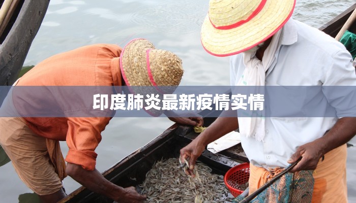 奉贤最新防疫情况通知 奉贤最新防疫情况通知