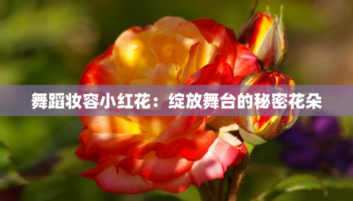 舞蹈妆容小红花:绽放舞台的秘密花朵 舞蹈妆容小红花:绽放舞台的秘密花朵