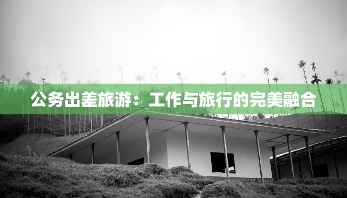 公务出差旅游:工作与旅行的完美融合 公务出差旅游:工作与旅行的完美融合