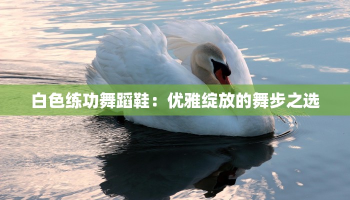 白色练功舞蹈鞋：优雅绽放的舞步之选