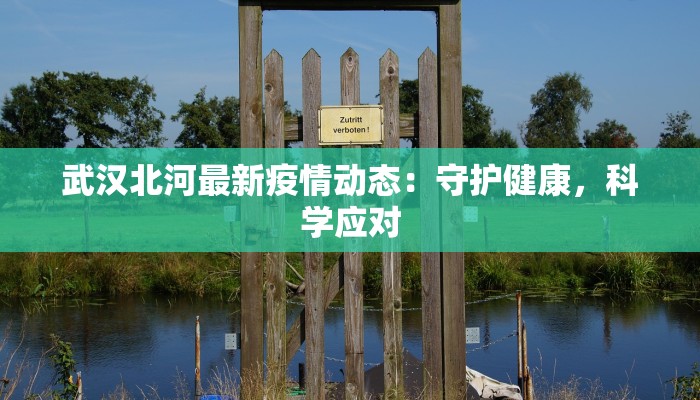 莱芜去青州的物流快递:高效连接,畅享便捷 莱芜去青州的物流快递:高效连接,畅享便捷