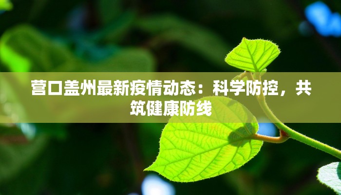 营口盖州最新疫情动态：科学防控，共筑健康防线