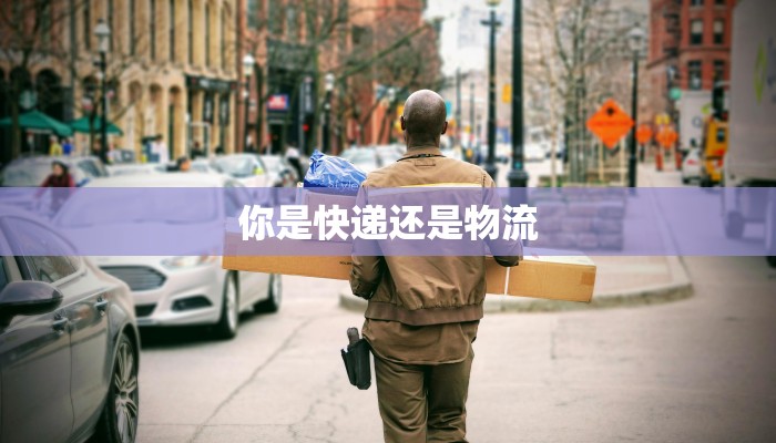 你是快递还是物流 你是快递还是物流