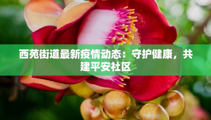 林口最新疫情今日:科学防控,守护健康家园 林口最新疫情今日:科学防控,守护健康家园