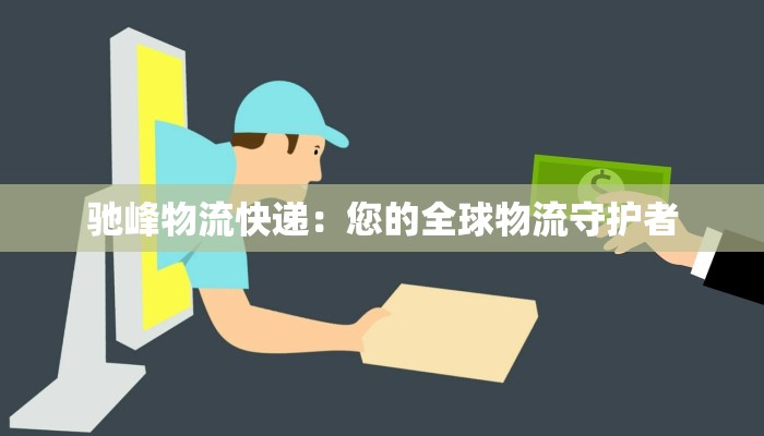 驰峰物流快递：您的全球物流守护者