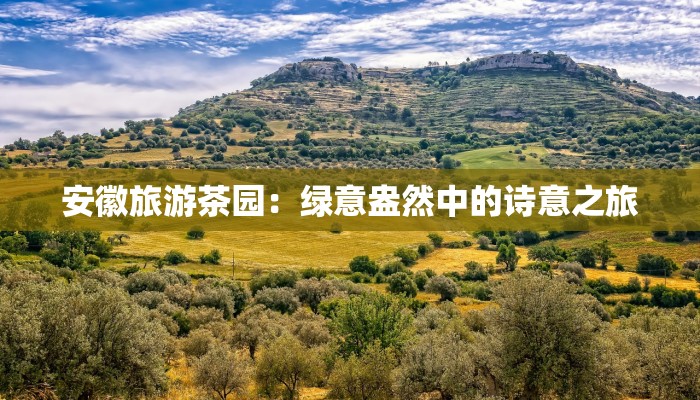 安徽旅游茶园:绿意盎然中的诗意之旅 安徽旅游茶园:绿意盎然中的诗意之旅