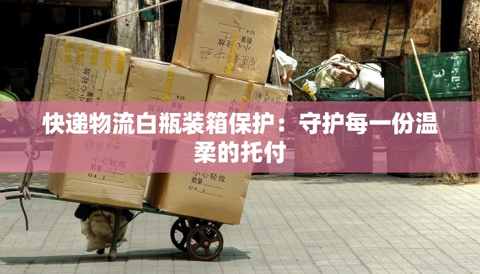 快递物流白瓶装箱保护：守护每一份温柔的托付
